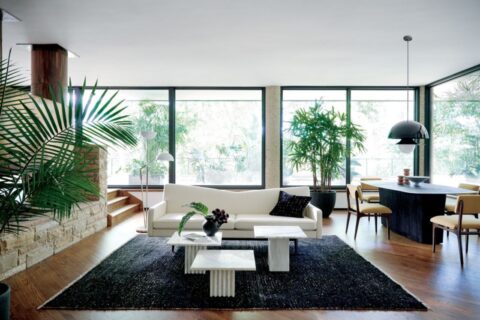 organic modern home decor
